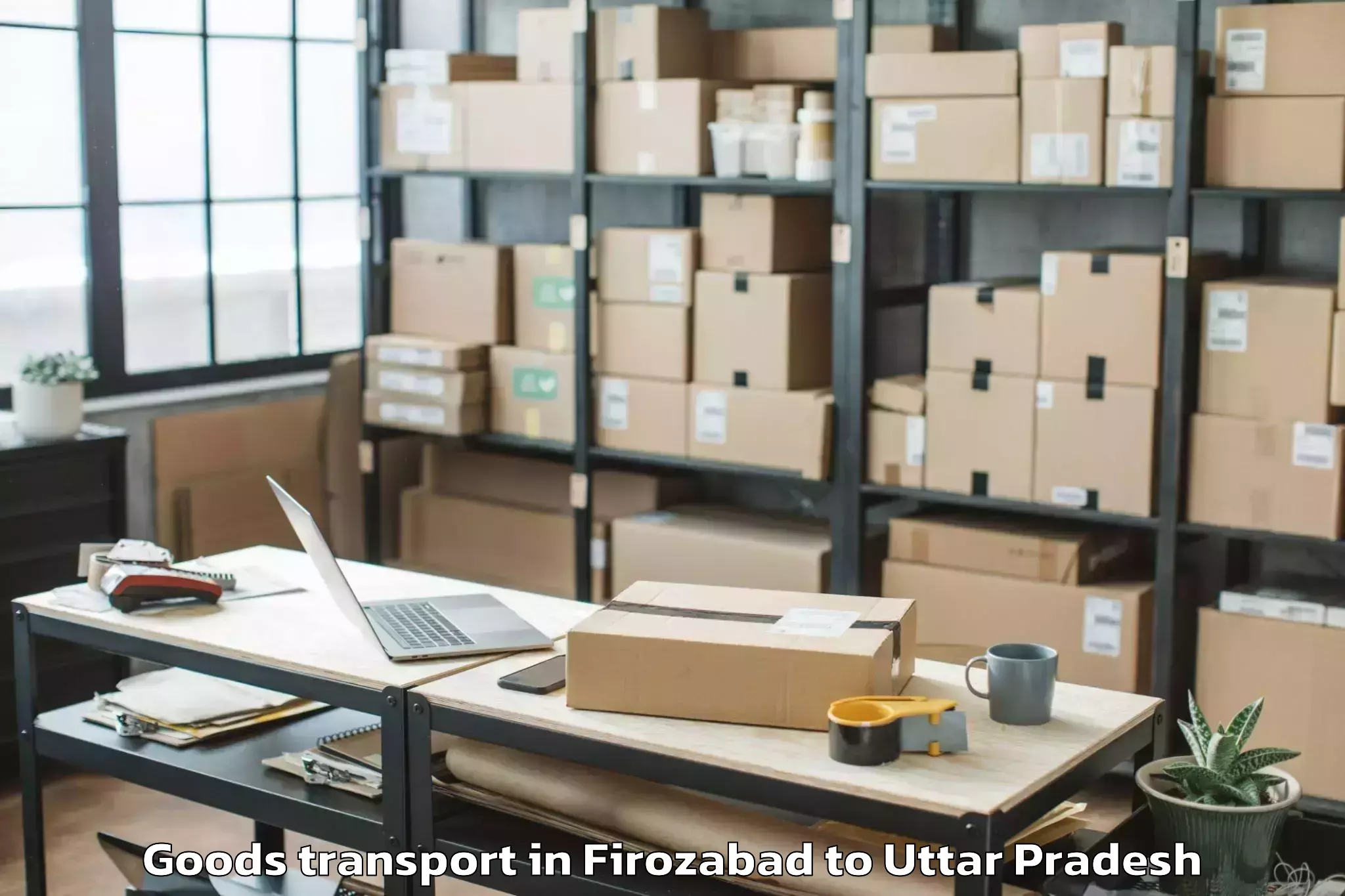 Professional Firozabad to Banda Goods Transport